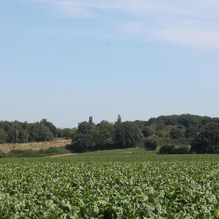 Landsraderhoefke - 4 Tatil Evi