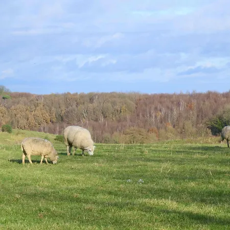 Landsraderhoefke - 4