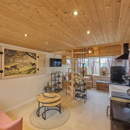 Tatil Evi Landsraderhoefke - 4 *