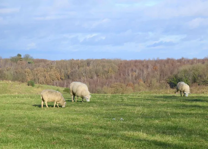 Landsraderhoefke - 4